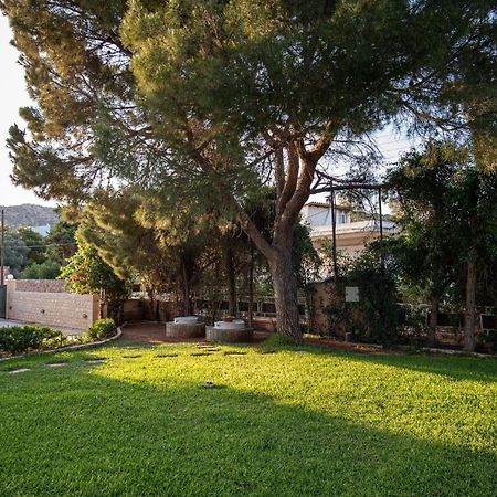 Apartament Sounio Panoramic Loft Sunion Zewnętrze zdjęcie