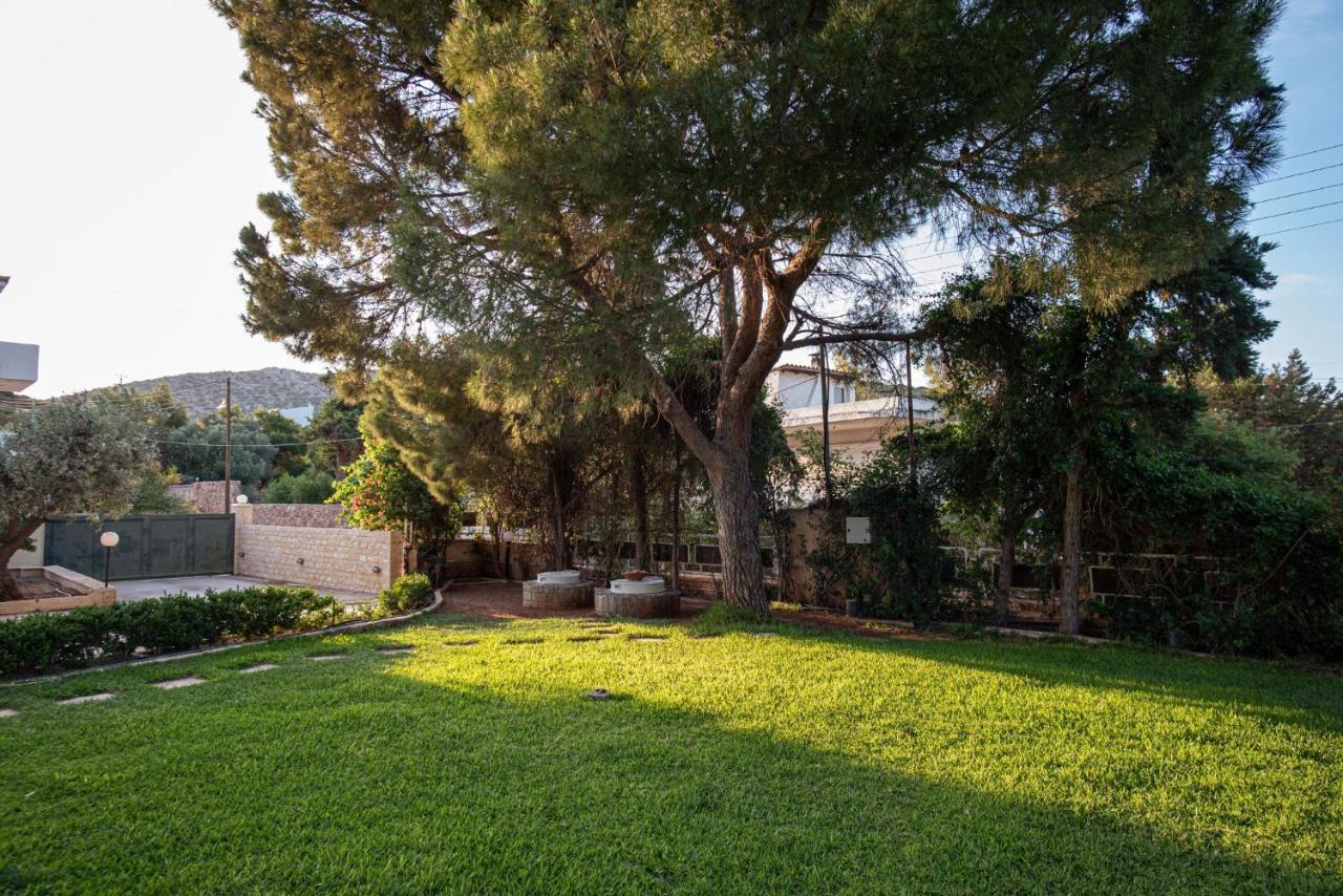Apartament Sounio Panoramic Loft Sunion Zewnętrze zdjęcie
